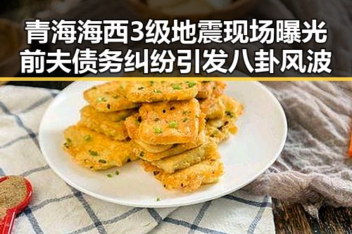 青海海西3级地震现场曝光前夫债务纠纷引发八卦风波