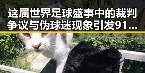 这届世界足球盛事中的裁判争议与伪球迷现象引发911爆料黑料大爆发