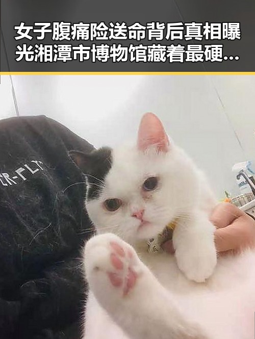 女子腹痛险送命背后真相曝光湘潭市博物馆藏着最硬核的红色热土