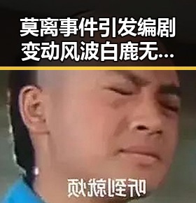 莫离事件引发编剧变动风波白鹿无关河南名额引发热议