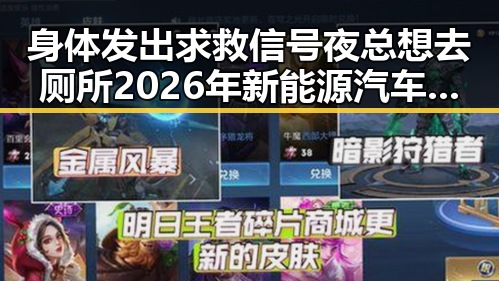 身体发出求救信号夜总想去厕所 2026年新能源汽车下乡或带来新变化