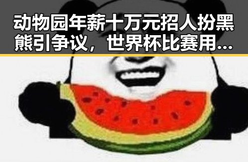 动物园年薪十万元招人扮黑熊引争议，世界杯比赛用球怎么还要充电引热议