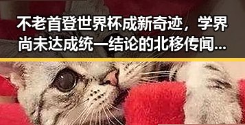 不老首登世界杯成新奇迹,学界尚未达成统一结论的北移传闻引发关注