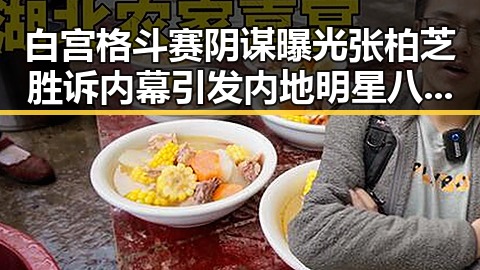 白宫格斗赛阴谋曝光张柏芝胜诉内幕引发内地明星八卦大震动