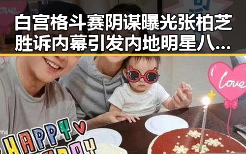 白宫格斗赛阴谋曝光张柏芝胜诉内幕引发内地明星八卦大震动