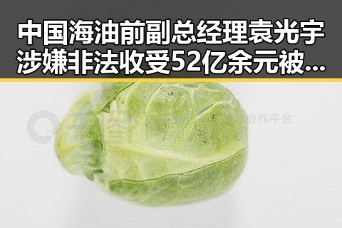 中国海油前副总经理袁光宇涉嫌非法收受52亿余元被判死缓同时伊朗人道主义援助再升级