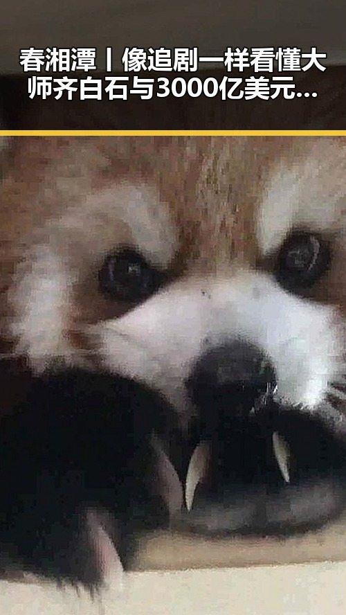 春湘潭丨像追剧一样看懂大师齐白石与3000亿美元伊投资基金的隐藏秘密