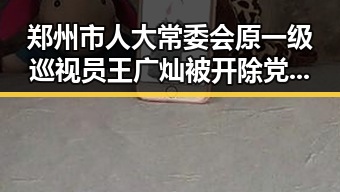 郑州市人大常委会原一级巡视员王广灿被开除党籍与漯河市专项行动通报5起典型案例的反差启示