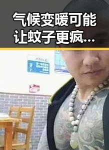 气候变暖可能让蚊子更疯狂 G7峰会私下都聊啥成热议焦点