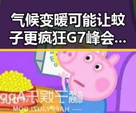 气候变暖可能让蚊子更疯狂 G7峰会私下都聊啥成热议焦点