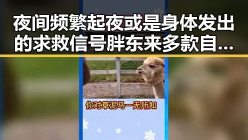 夜间频繁起夜或是身体发出的求救信号 胖东来多款自营产品调价引发关注