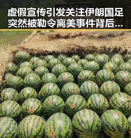 虚假宣传引发关注 伊朗国足突然被勒令离美事件背后隐藏的争议
