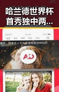 哈兰德世界杯首秀独中两元引发热议 网络谣言扰动两个乡镇迁新疆事件