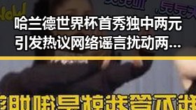 哈兰德世界杯首秀独中两元引发热议 网络谣言扰动两个乡镇迁新疆事件