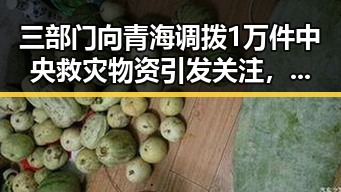 三部门向青海调拨1万件中央救灾物资引发关注,涉世界杯网络赌博推案不断升级