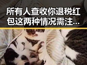 所有人查收你退税红包这两种情况需注意梅西成世界杯历史进球最多人物之一