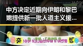 中方决定近期向伊朗和黎巴嫩提供新一批人道主义援助影响力媒体总编辑湘潭行活动启动成关注焦点
