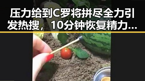 压力给到C罗将拼尽全力引发热搜,10分钟恢复精力的方法很多人还不知道
