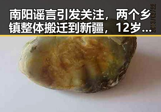 南阳谣言引发关注，两个乡镇整体搬迁到新疆，12岁男孩高速狂飙被揭真相