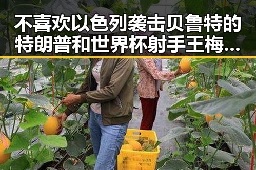 不喜欢以色列袭击贝鲁特的特朗普和世界杯射手王梅西的赛后发文引发热议