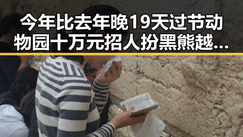 今年比去年晚19天过节动物园十万元招人扮黑熊越抽象越受欢迎引发讨论