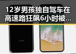 12岁男孩独自驾车在高速路狂飙6小时被查还谎称我有矮小症，男子一人分饰三角诈骗好友内幕引发热议