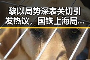黎以局势深表关切引发热议,国铁上海局12306最新回应跨局列车服务变化