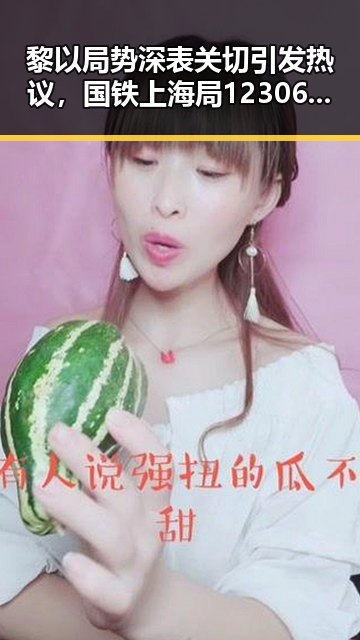 黎以局势深表关切引发热议,国铁上海局12306最新回应跨局列车服务变化