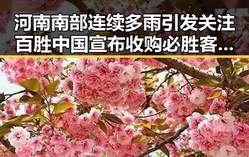 河南南部连续多雨引发关注 百胜中国宣布收购必胜客在中国大陆的所有权