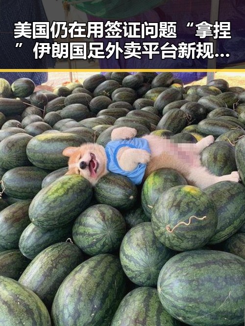 美国仍在用签证问题“拿捏”伊朗国足外卖平台新规引发市场扰乱