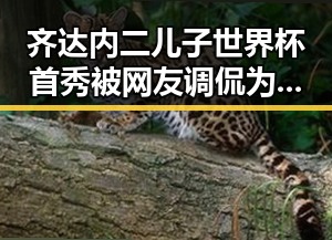 齐达内二儿子世界杯首秀被网友调侃为“坑爹”端午出行也要做好个人防护