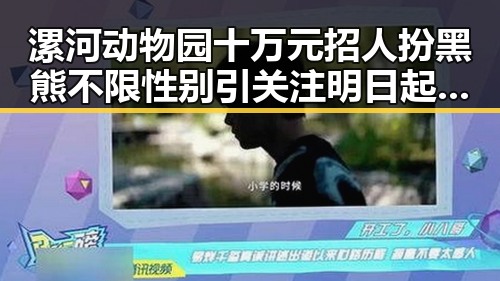 漯河动物园十万元招人扮黑熊不限性别引关注 明日起至9月3日每周四10点可领新一批消费券