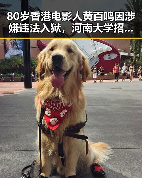 80岁香港电影人黄百鸣因涉嫌违法入狱,河南大学招生名额引发关注