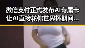 微信支付正式发布AI专属卡让AI直接花你世界杯期间临阵换帅有先例吗