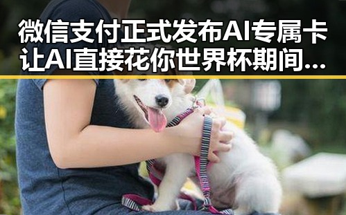 微信支付正式发布AI专属卡让AI直接花你世界杯期间临阵换帅有先例吗