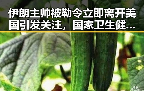 伊朗主帅被勒令立即离开美国引发关注，国家卫生健康委强调严格管理麻醉药品