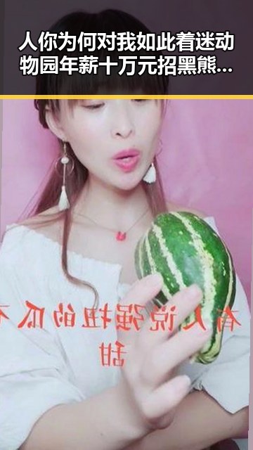 人你为何对我如此着迷动物园年薪十万元招黑熊扮黑熊引发关注