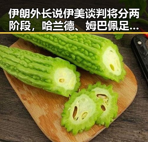 伊朗外长说伊美谈判将分两阶段，哈兰德、姆巴佩足球答卷引关注