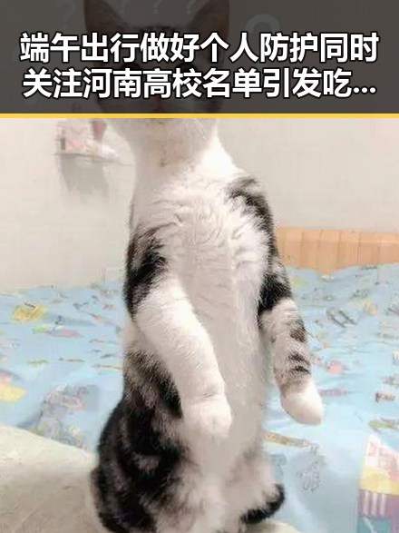 端午出行做好个人防护同时关注河南高校名单引发吃瓜基地热议