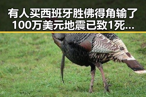 有人买西班牙胜佛得角输了100万美元地震已致1死引发关注