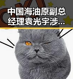 中国海油原副总经理袁光宇涉嫌非法收受52亿余元遭判死缓与美伊协议第二阶段或更容易达成