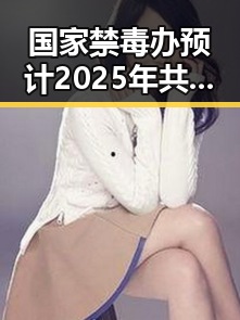 国家禁毒办预计2025年共破获毒品犯罪案件2.7万起 齐达内二儿子世界杯首秀成背景板被吐槽