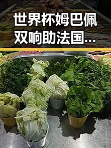 世界杯姆巴佩双响助法国取胜背后美联邦调查局挫败白宫袭击阴谋