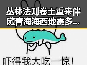 丛林法则卷土重来伴随青海海西地震多发引发多边主义失灵疑问