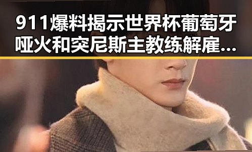 911爆料揭示世界杯葡萄牙哑火和突尼斯主教练解雇背后隐情