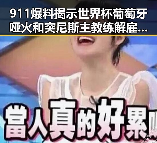 911爆料揭示世界杯葡萄牙哑火和突尼斯主教练解雇背后隐情
